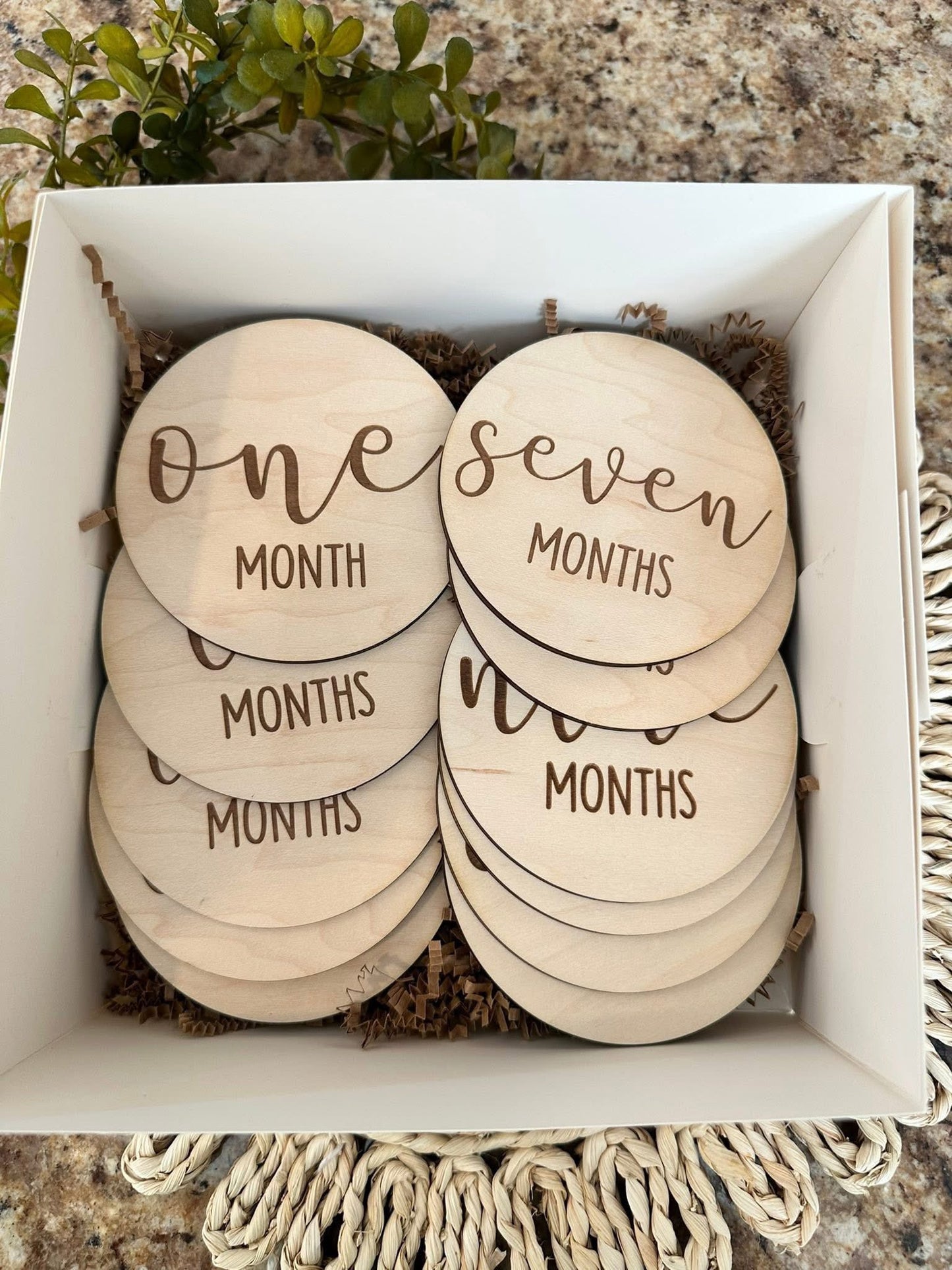 Classic Circle Monthly Milestone Disc Set
