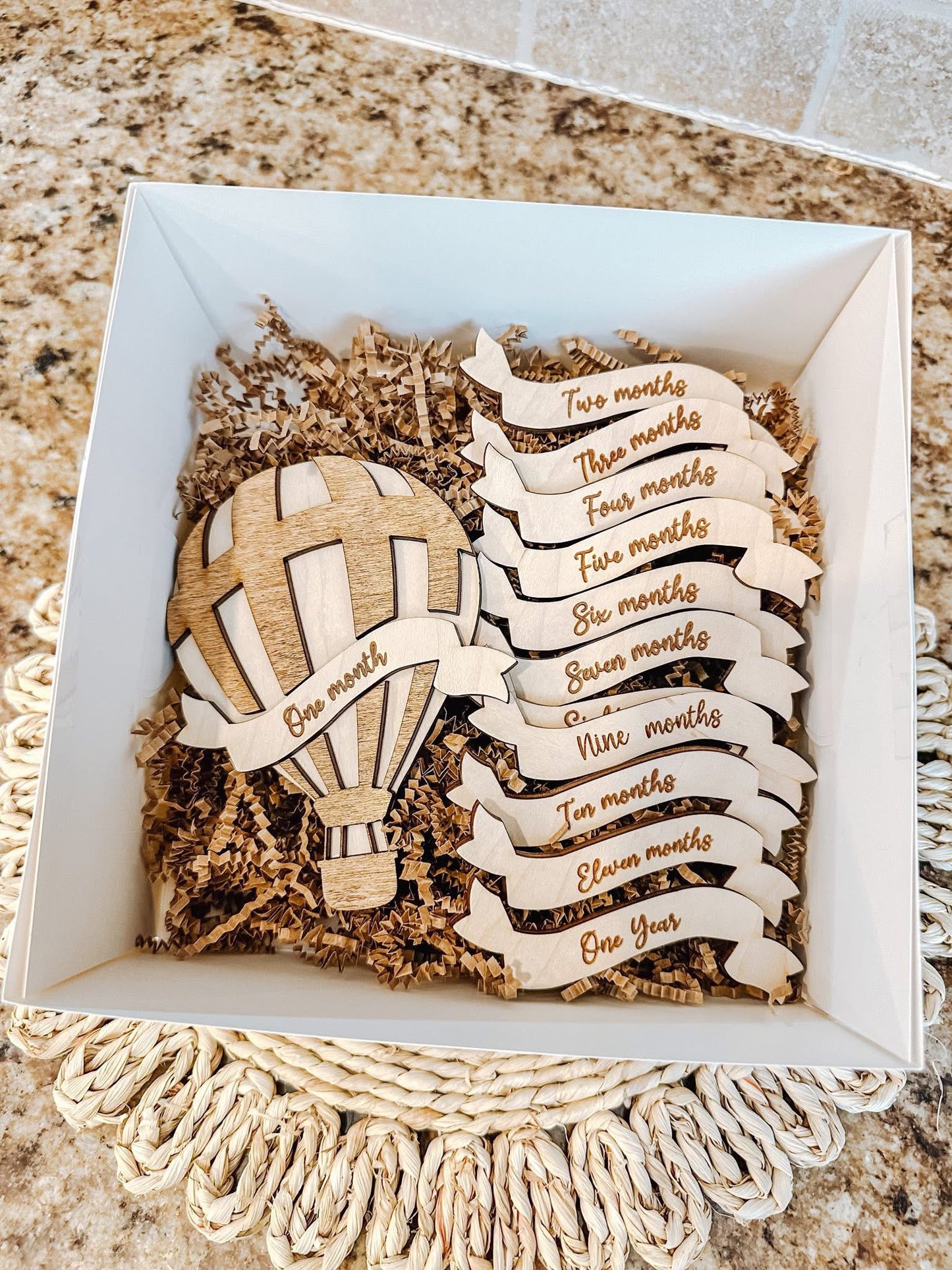 Hot Air Balloon Monthly Milestone Disc Set