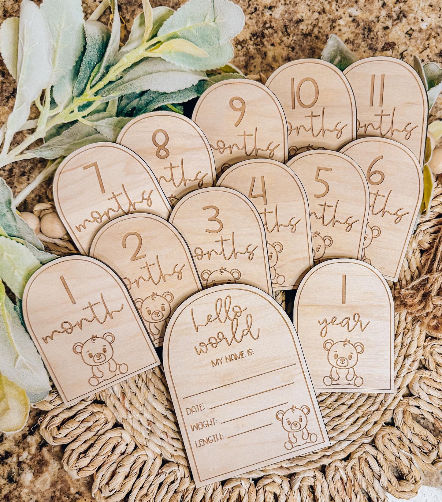 Teddy Bear Monthly Milestone Disc Set