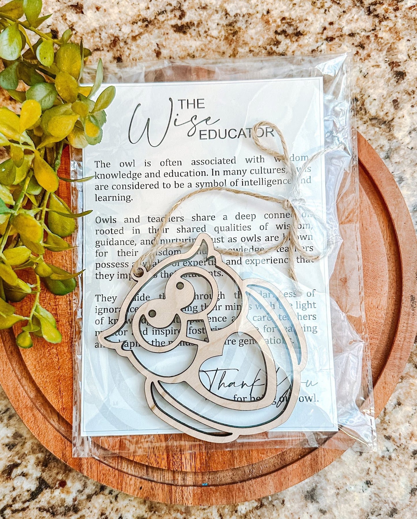Wise Educator Ornament/ Hanging Charm
